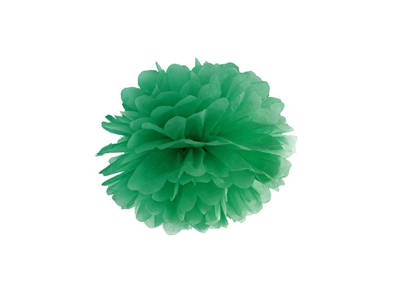 Pom pom zelený 25cm